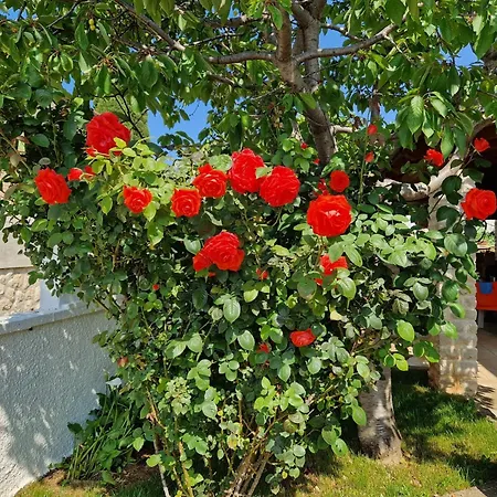 Gæstehus And With Parking Space Premantura, Medulin - 24363 3*