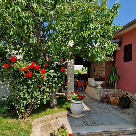 And With Parking Space Premantura, Medulin - 24363 3*