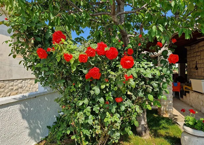 Gæstehus And With Parking Space Premantura, Medulin - 24363 3*
